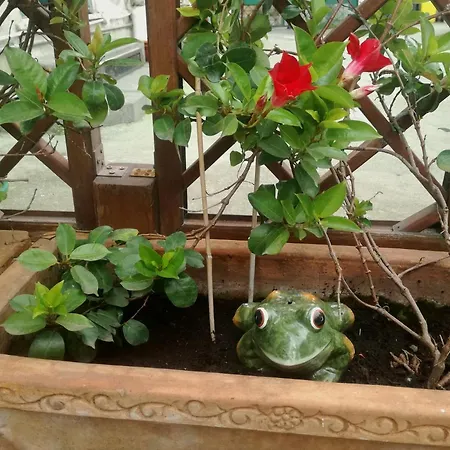 Cozzolino Bed & Breakfast Ercolano