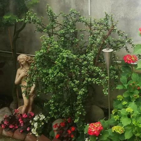 Bed & Breakfast Cozzolino Ercolano